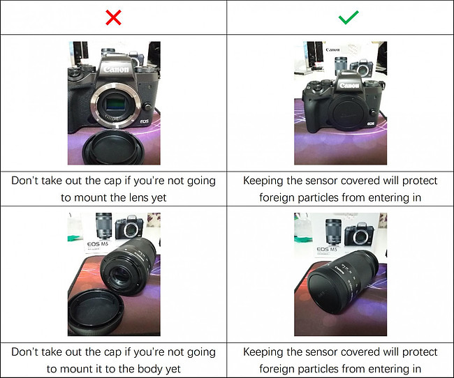 How To Use A Mirrorless Camera Basic Guide For Beginners