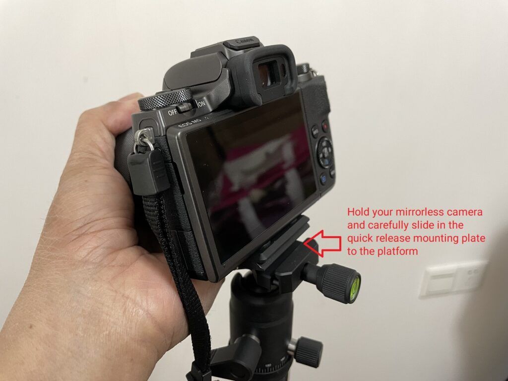 How to use a camera tripod - quick release plate mounted on platform