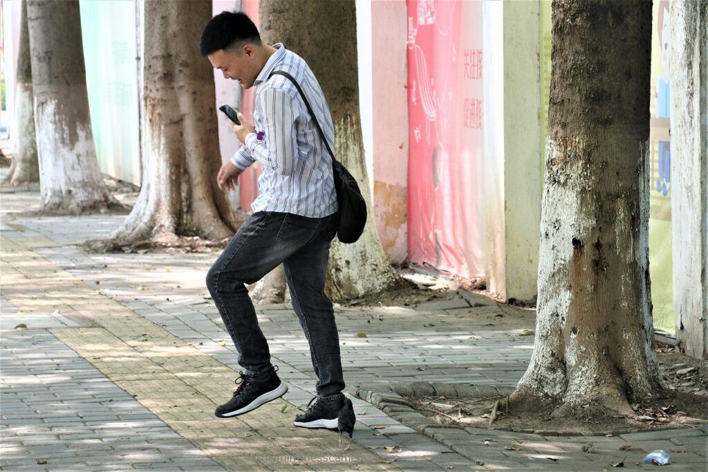 A Black Bird Chasing Man on the Street - crested myna