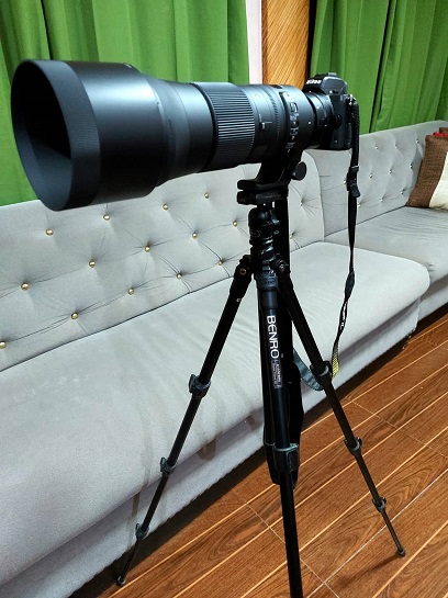 Sigma 150-600mm contemporary review - lens mounted on tripod