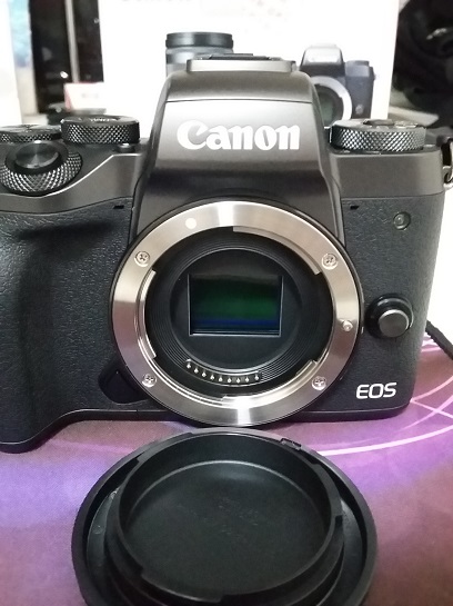 Why Does a Mirrorless Camera Need a Shutter - EOS M5