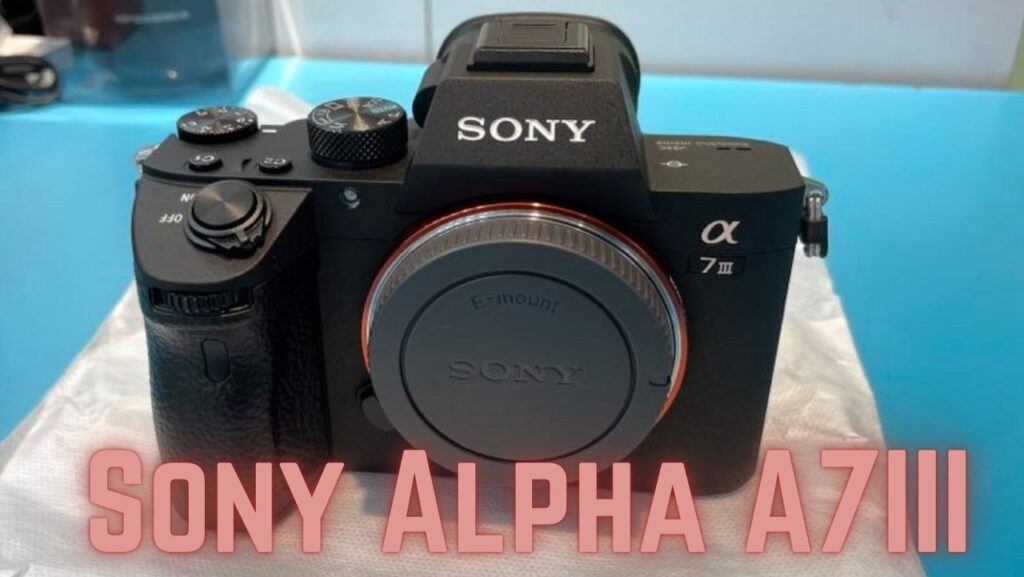 Sony Alpha A7III Review Is Sony A7III a Good Buy?